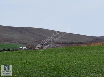 Arsa-Tarla