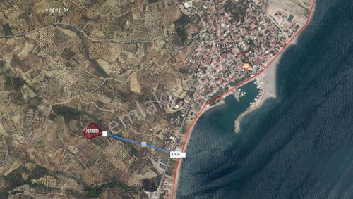 Arsa-Zeytinlik