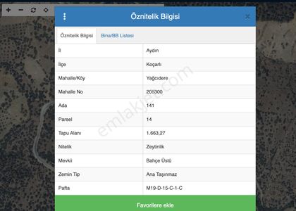Arsa-Zeytinlik