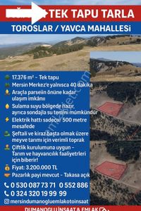 Arsa-Tarla