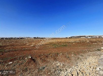 Arsa-Konut İmarlı