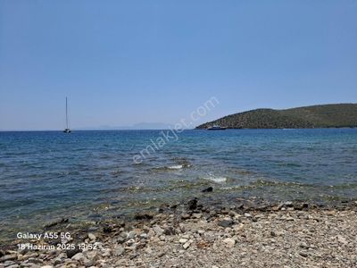 Arsa-Tarla