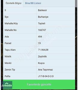 Arsa-Zeytinlik