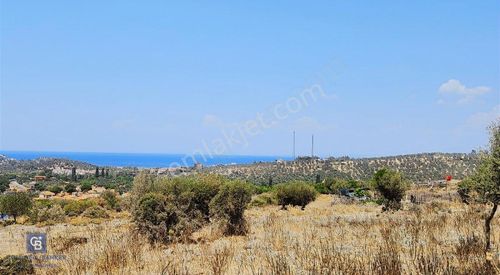 Arsa-Villa İmarlı