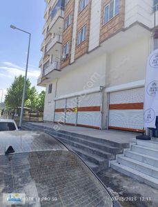 İşyeri-Dükkan & Mağaza