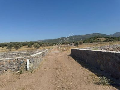 Arsa-Tarla