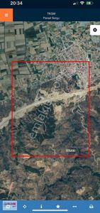 Arsa-Zeytinlik