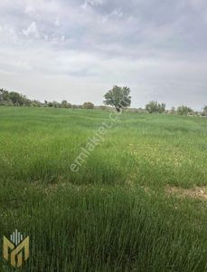 Arsa-Tarla