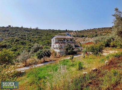 Arsa-Tarla