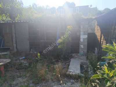 Arsa-Konut İmarlı
