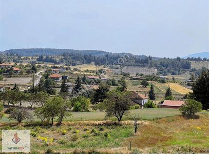 Arsa-Tarla