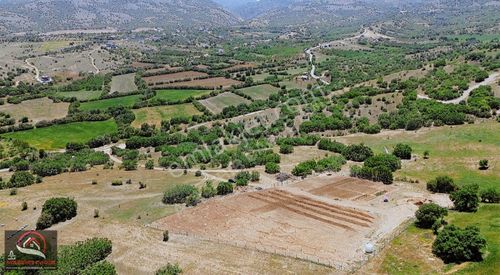 Arsa-Tarla