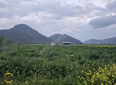 Arsa-Villa İmarlı