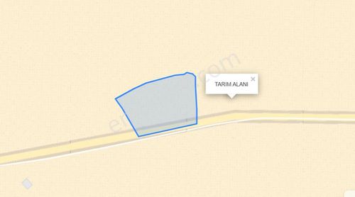 Arsa-Tarla