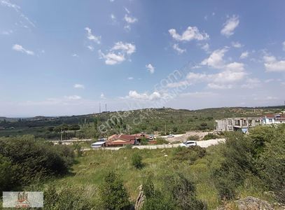 Arsa-Villa İmarlı