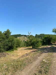 Arsa-Tarla