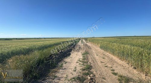 Arsa-Tarla