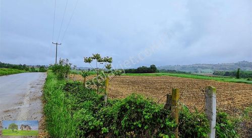Arsa-Tarla