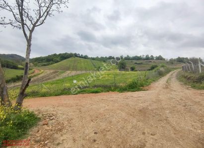 Arsa-Tarla