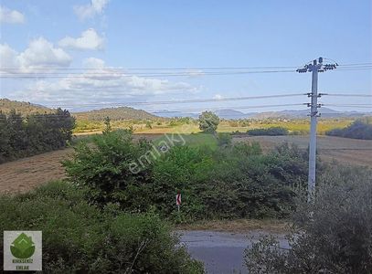 Arsa-Tarla