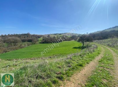 Arsa-Tarla