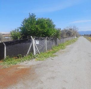 Arsa-Tarla