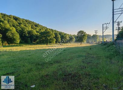 Arsa-Tarla