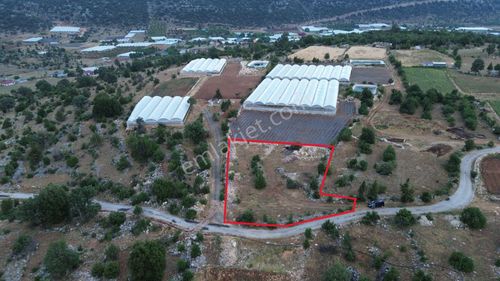 2 Adet Villalık Arsa Acil Fiyat Düştü