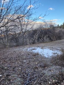 Arsa-Tarla