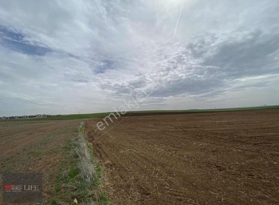 Arsa-Tarla