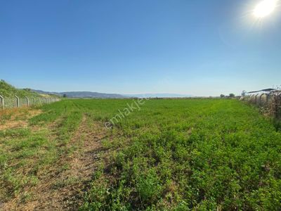Arsa-Tarla