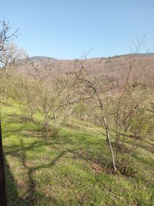 Arsa-Tarla