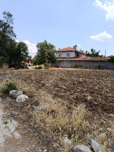 Arsa-Konut İmarlı