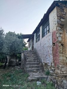 Arsa-Bağ & Bahçe