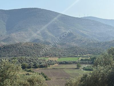 Arsa-Tarla