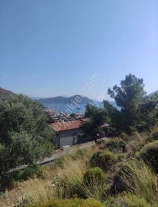 Arsa-Tarla