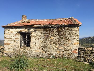 Arsa-Zeytinlik
