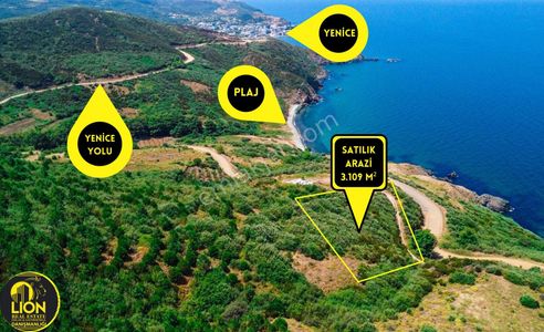 Arsa-Tarla