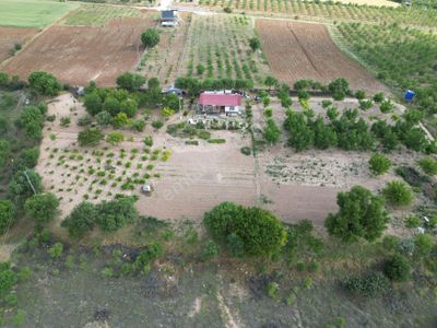 Arsa-Tarla