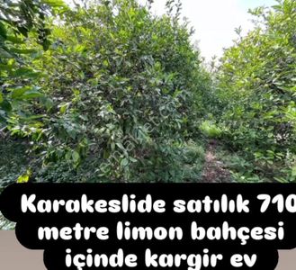 Arsa-Konut İmarlı