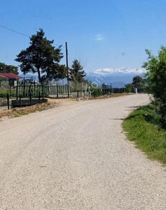 Arsa-Bağ & Bahçe