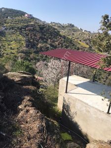 Arsa-Tarla