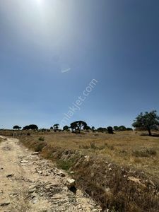 Arsa-Tarla