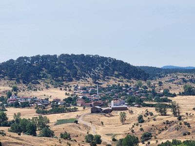 Arsa-Tarla