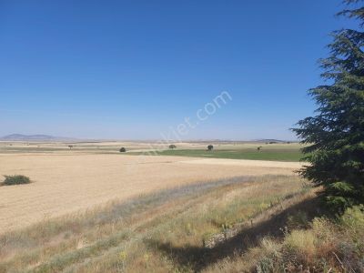 Arsa-Tarla