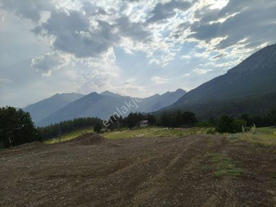 Arsa-Konut İmarlı