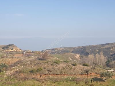 İşyeri-Çiftlik