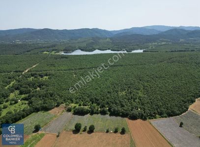 Arsa-Tarla
