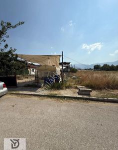Arsa-Konut İmarlı