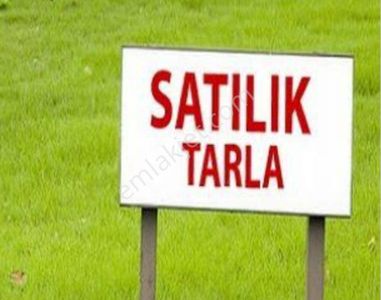 Arsa-Tarla